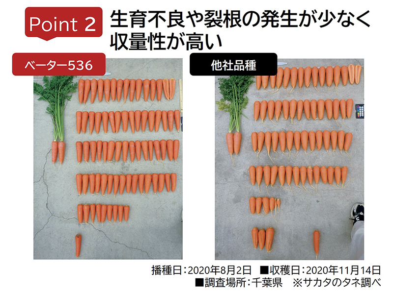 収量性が高い