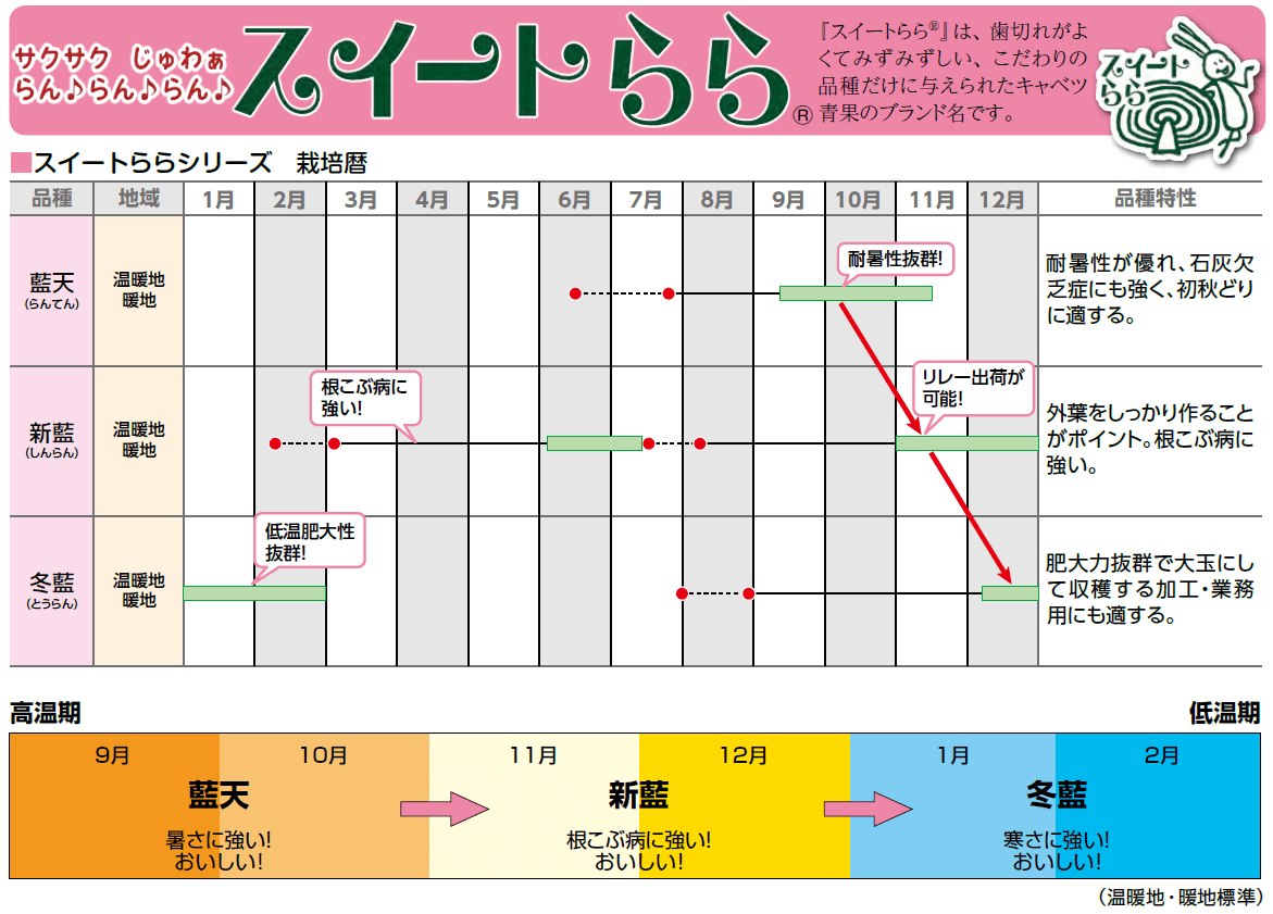 サンプル