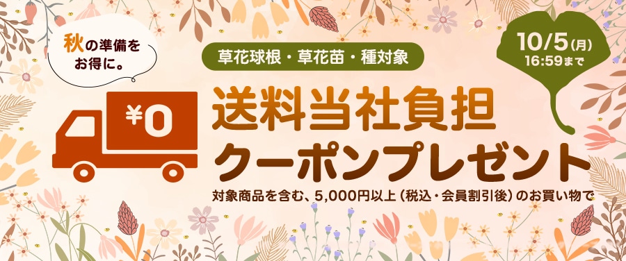 草花球根・草花苗・種を含む合計5,000円以上のお買い物で送料当社負担クーポンプレゼント！