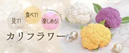 見て！食べて！楽しめる！ カリフラワー