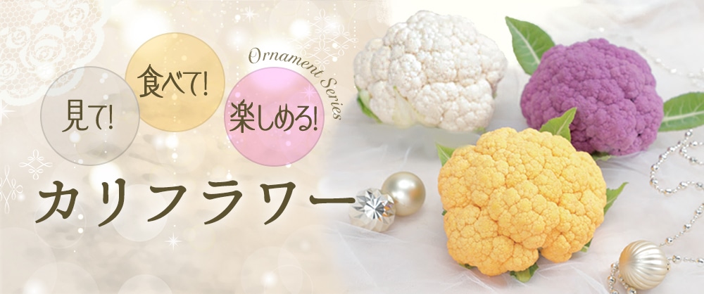 見て！食べて！楽しめる！ カリフラワー