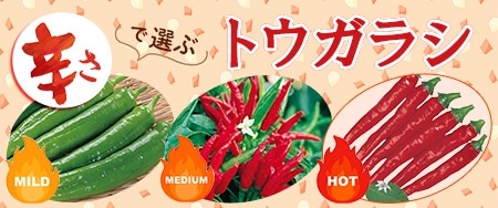 辛さで選ぶトウガラシ
