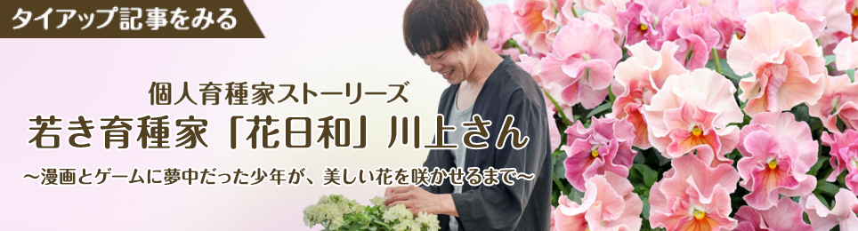 サカタのタネ 園芸通信 タイアップ記事