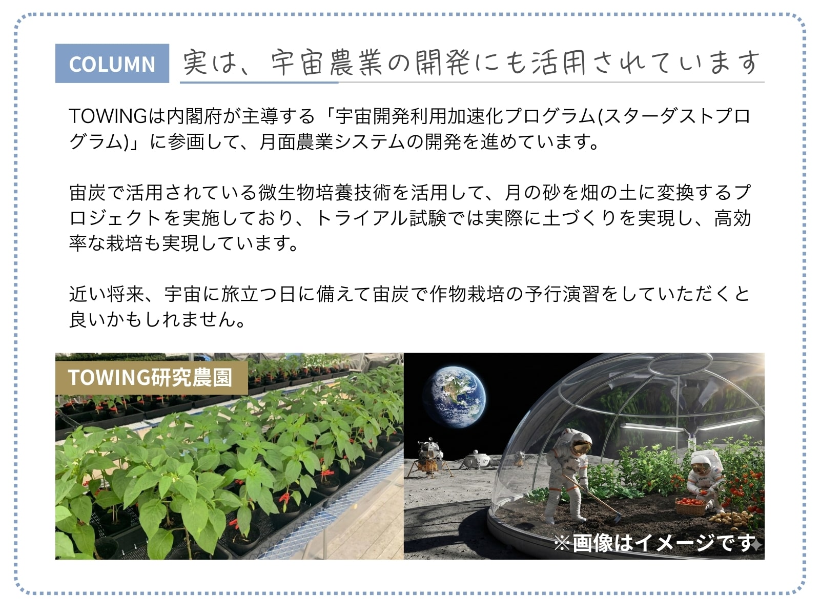 サンプル