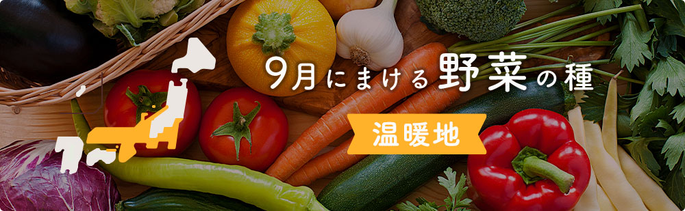 9月の温暖地にまける野菜の種