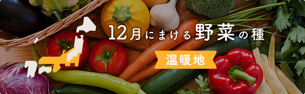 12月の温暖地にまける野菜の種