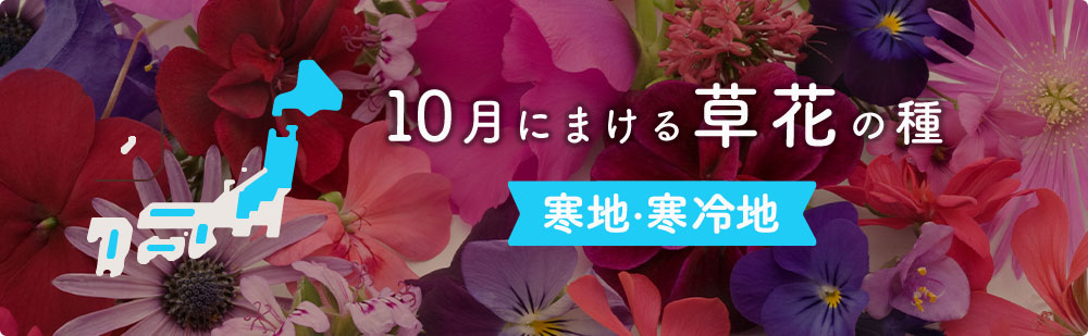 10月の寒地・寒冷地にまける草花の種