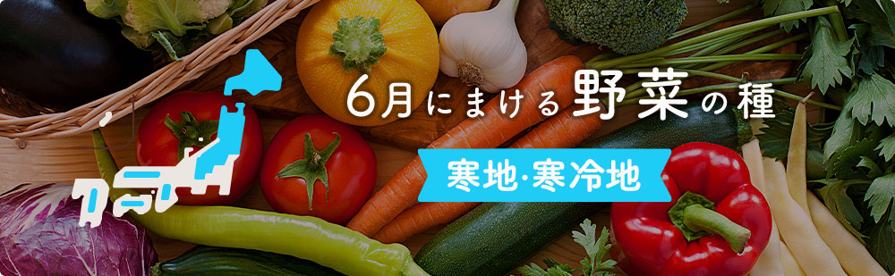 6月の寒地・寒冷地にまける野菜の種