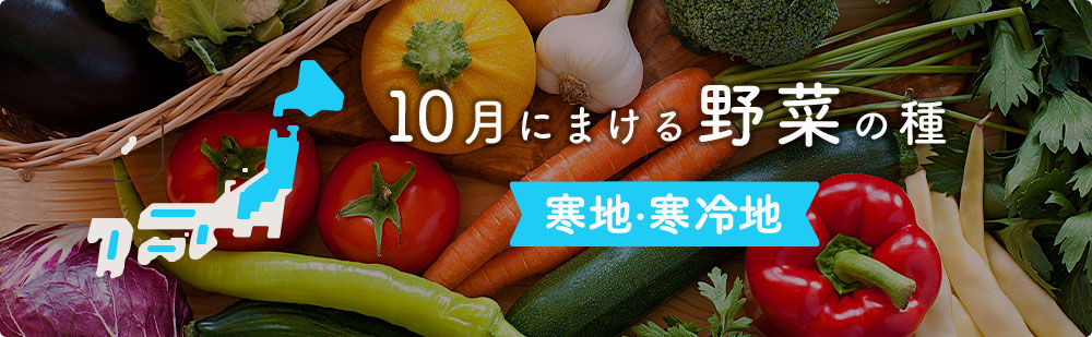 10月の寒地・寒冷地にまける野菜の種