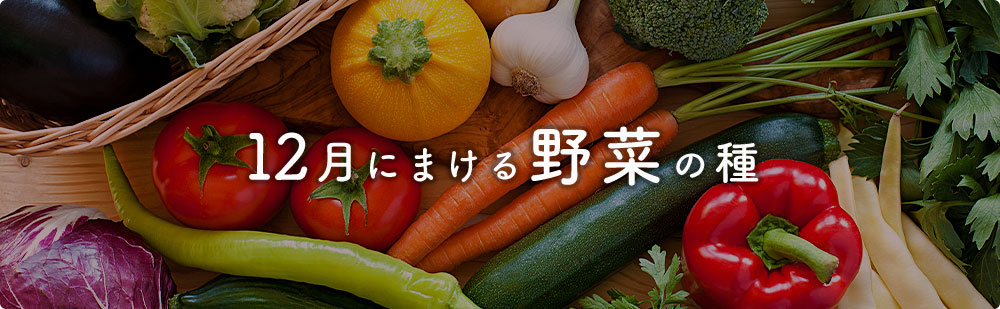 12月にまける野菜の種