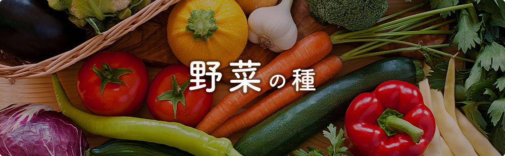 野菜の種