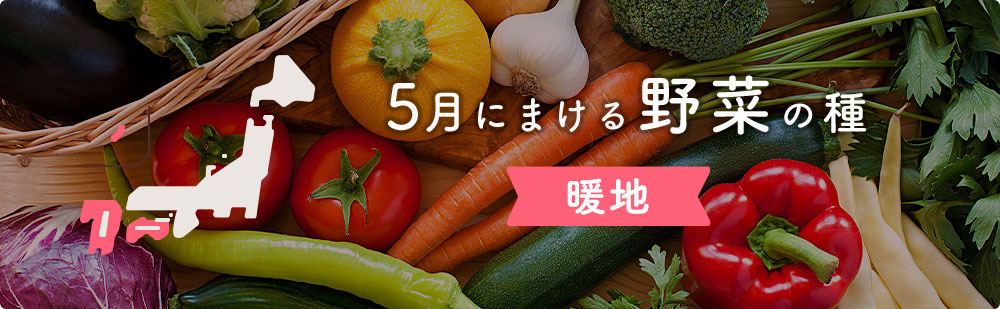5月の暖地にまける野菜の種