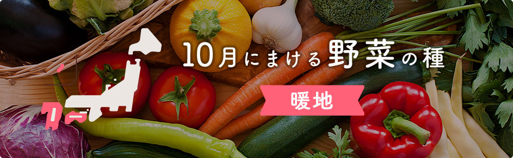 10月の暖地にまける野菜の種