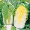 冬月90