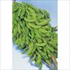 エダマメ 新小平方茶豆