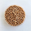 有機種子 古代小麦 スペルト小麦