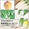 9月まき野菜タネ 厳選見計らいセット
