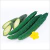 味さんご 接木苗