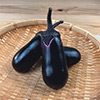 楽々水なす