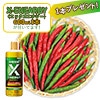 おうち野菜（R） トウガラシ 羅辛 自根苗