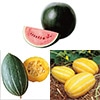 おうち野菜(R) つる性3種セット
