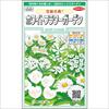 花絵の具(R） ホワイトフラワーガーデン
