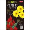 アソートパック ジニア×けいとう 花壇にセットで