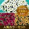 ビューティカル 3色Bセット