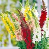 アスリート 4種セット