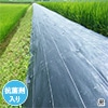 グランドシート(抗菌剤入） 黒