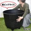 サンポット・ビッグ80（果樹苗仕立鉢）
