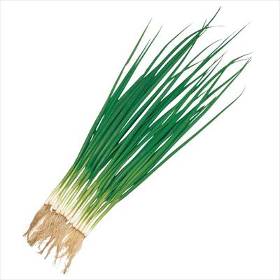 小ネギ 剣舞