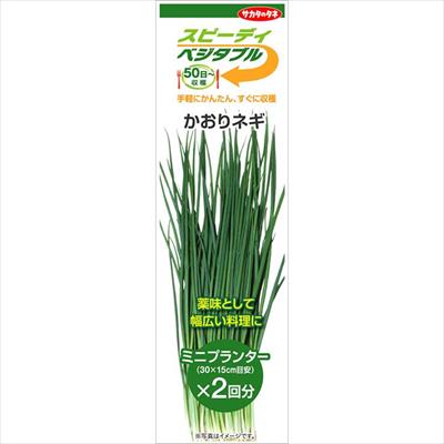 スピーディベジタブル かおりネギ（2回分）