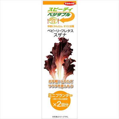 スピーディベジタブル ベビーリーフレタス スザナ（2回分）