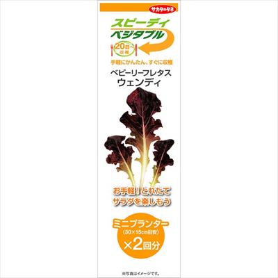 スピーディベジタブル ベビーリーフレタス ウェンディ（2回分）