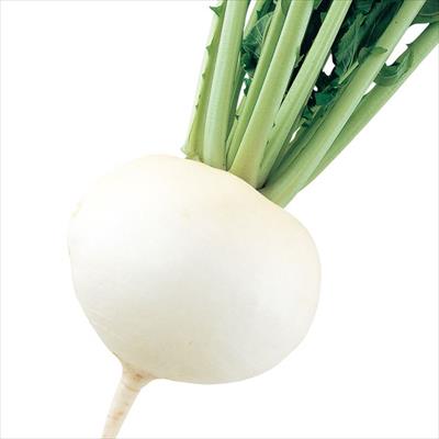 大カブ CR大政