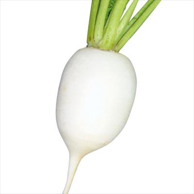 ダイコン 辛味そば