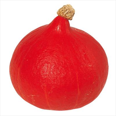カボチャ 打木赤皮甘栗カボチャ