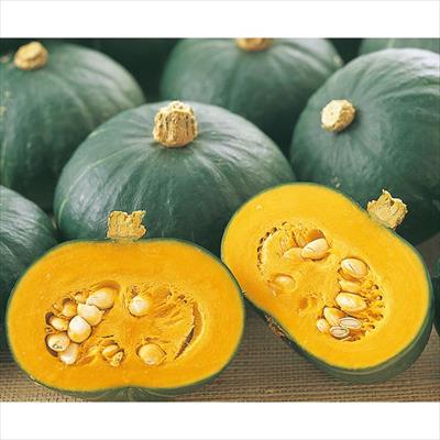 ミニカボチャ 栗っプチ