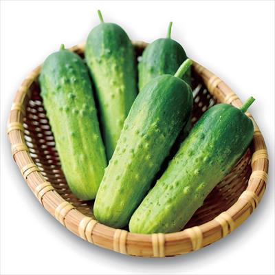 ミニキュウリ 半白きゅう太郎