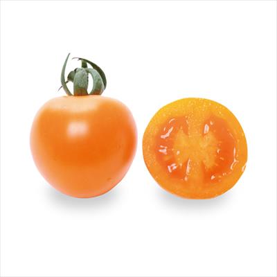 ミニトマト メイクスイーツ アリシア
