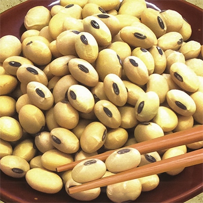 大豆 めぐろ王