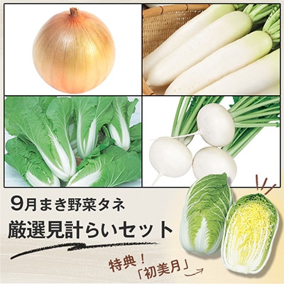 9月まき野菜タネ 厳選見計らいセット