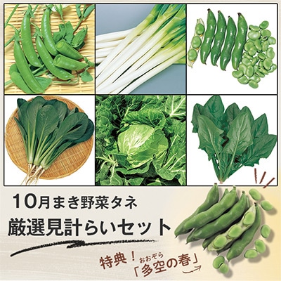 10月まき野菜タネ 厳選見計らいセット