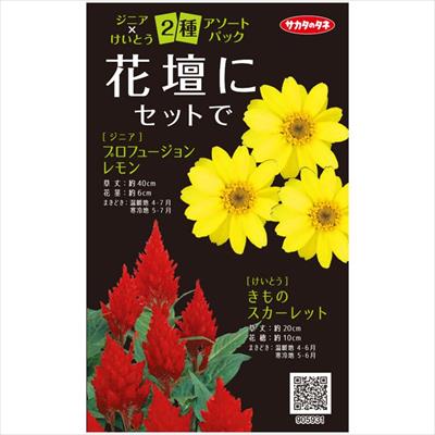 アソートパック ジニア×けいとう 花壇にセットで