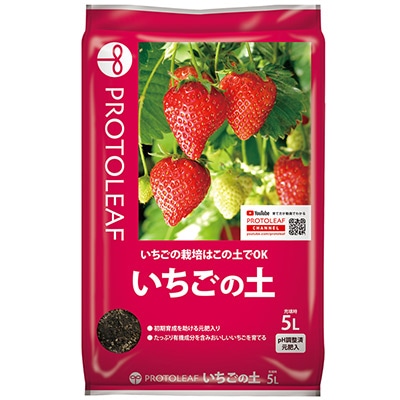 いちごの土
