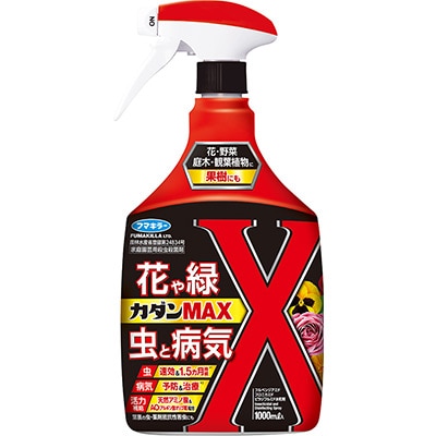 カダンMAX