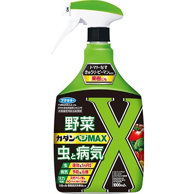 カダンベジMAX