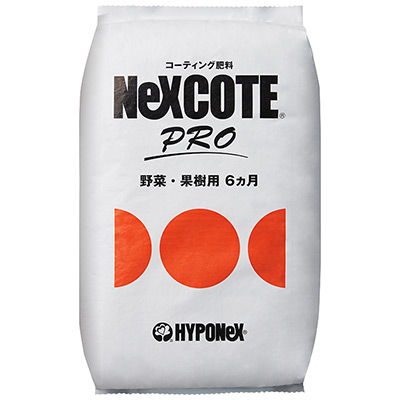 ネクスコートプロ 6カ月タイプ
