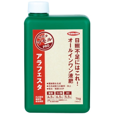 アラフェスタ